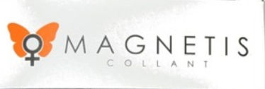 magnetis logo